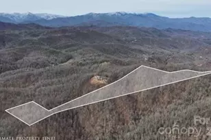 99999 Nc 9 Hwy, Black Mountain, NC 28711 - Photo 1