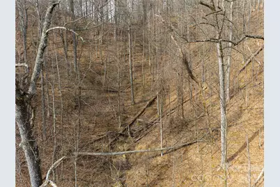 99999 Nc 9 Highway, Black Mountain, NC 28711 - Photo 16