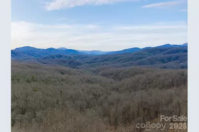 99999 Nc 9 Highway, Black Mountain, NC 28711 - Photo 12