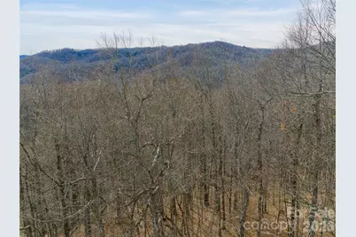 99999 Nc 9 Highway, Black Mountain, NC 28711 - Photo 10