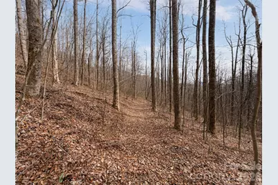 99999 Nc 9 Highway, Black Mountain, NC 28711 - Photo 24