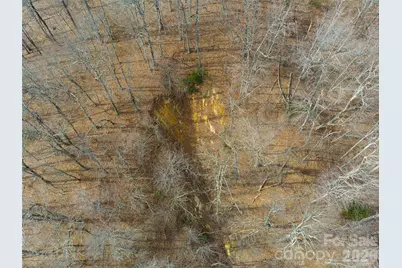 99999 Nc 9 Highway, Black Mountain, NC 28711 - Photo 6