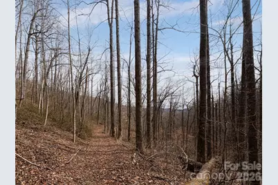 99999 Nc 9 Highway, Black Mountain, NC 28711 - Photo 26