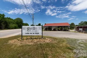 3218 Broadhurst Ln, Clover, SC 29710 - Photo 38