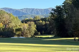 305 Clubhouse Ln, Mill Spring, NC 28756 - Photo 46