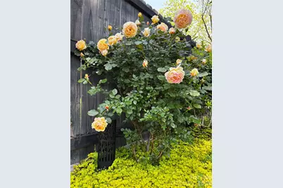 514 Jackson Park Road, Kannapolis, NC 28083 - Photo 44