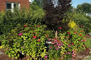 514 Jackson Park Rd, Kannapolis, NC 28083 - Photo 40