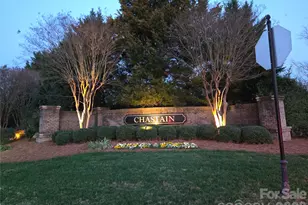 2558 Chatham Dr, Fort Mill, SC 29707 - Photo 48