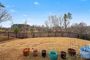 332 Secretariat Dr, Iron Station, NC 28080 - Photo 26