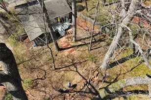 224 Beverly Rd, Asheville, NC 28805 - Photo 30