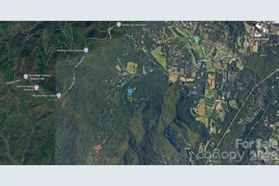 1229 Kanawa Lane, Arden, NC 28704 - Photo 2