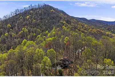 2977 Heath Peak Road, Waynesville, NC 28785 - Photo 36