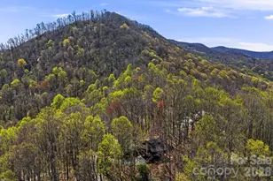 2977 Heath Peak Rd, Waynesville, NC 28785 - Photo 36
