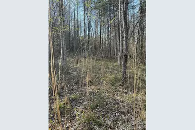288 Coolbrook Road, Union Grove, NC 28689 - Photo 12