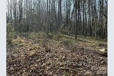 288 Coolbrook Road, Union Grove, NC 28689 - Photo 4
