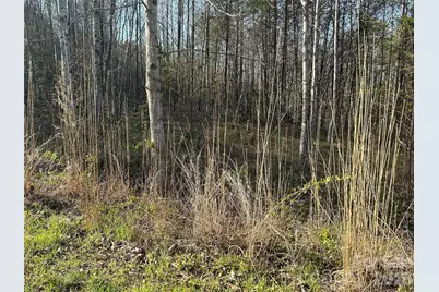 288 Coolbrook Road, Union Grove, NC 28689 - Photo 6