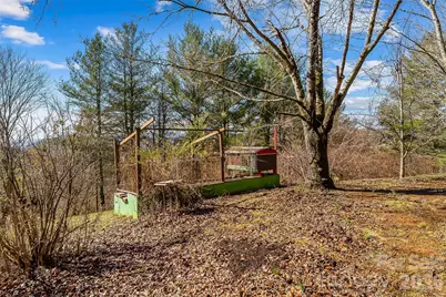 350 Sandy Bottom Road, Marshall, NC 28753 - Photo 32