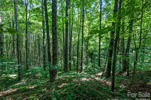 99999 Gordon Ln, Burnsville, NC 28714 - Photo 4