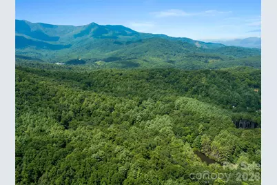 99999 Gordon Lane, Burnsville, NC 28714 - Photo 2