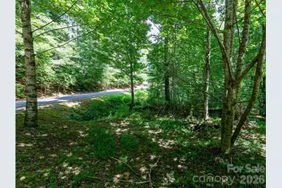 99999 Gordon Lane, Burnsville, NC 28714 - Photo 14