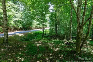 99999 Gordon Ln, Burnsville, NC 28714 - Photo 14