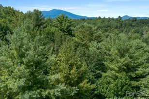 99999 Gordon Ln, Burnsville, NC 28714 - Photo 8