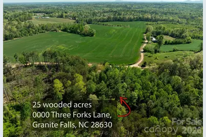 0000 Three Forks Lane, Granite Falls, NC 28630 - Photo 6