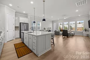 1306 Idyllic Ln, Waxhaw, NC 28173 - Photo 8