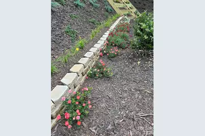 203 Burnt Chimney Lane, Rutherfordton, NC 28139 - Photo 30