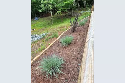 203 Burnt Chimney Lane, Rutherfordton, NC 28139 - Photo 38