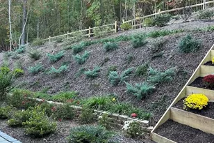 203 Burnt Chimney Ln, Rutherfordton, NC 28139 - Photo 32