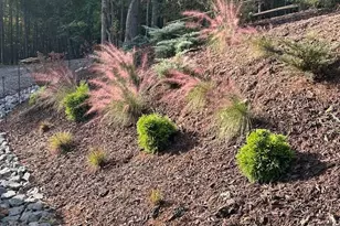 203 Burnt Chimney Ln, Rutherfordton, NC 28139 - Photo 36