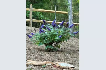 203 Burnt Chimney Lane, Rutherfordton, NC 28139 - Photo 34