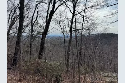 00 Locust Grove Road #2, Hendersonville, NC 28792 - Photo 8