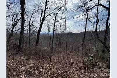 00 Locust Grove Road #2, Hendersonville, NC 28792 - Photo 6