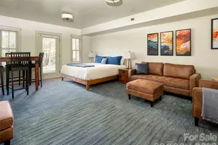 1002 Coves Pheasant Ct, Biltmore Lake, NC 28715 - Photo 36