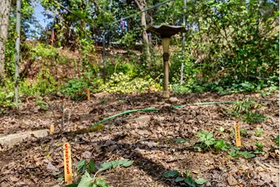 48 Springvale Avenue, Asheville, NC 28803 - Photo 44