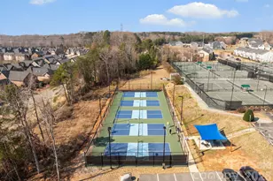 6193 Gold Springs Way, Denver, NC 28037 - Photo 38