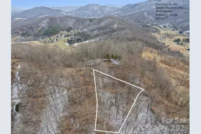 Lot #5 Viewpoint Mountain, Waynesville, NC 28786 - Photo 1