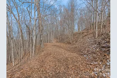 Lot #5 Viewpoint Mountain, Waynesville, NC 28786 - Photo 6