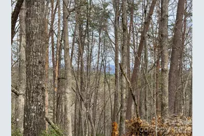 Lots 4-7 Carmel Ridge, Rutherfordton, NC 28139 - Photo 1