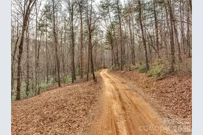 Lots 4-7 Carmel Ridge, Rutherfordton, NC 28139 - Photo 6