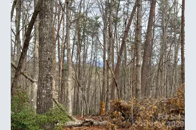 Lots 4-7 Carmel Ridge, Rutherfordton, NC 28139 - Photo 14