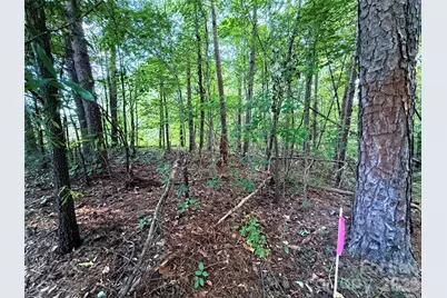 Lot 102 Carlie Street, Norwood, NC 28128 - Photo 2