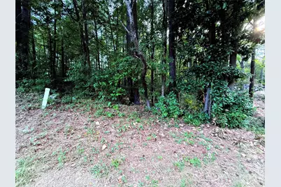 Lot 101 Carlie Street, Norwood, NC 28128 - Photo 1