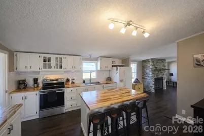 265 Bane Road, Mills River, NC 28759 - Photo 4