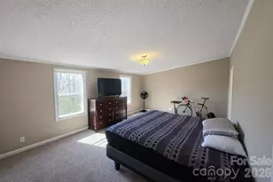 265 Bane Rd, Mills River, NC 28759 - Photo 8