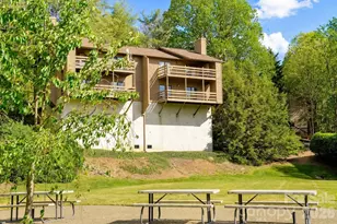 305 Piney Mountain Dr, Asheville, NC 28805 - Photo 32
