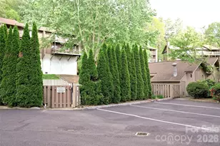 305 Piney Mountain Dr, Asheville, NC 28805 - Photo 30