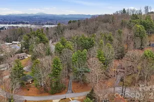 205 Mint Way, Flat Rock, NC 28731 - Photo 30